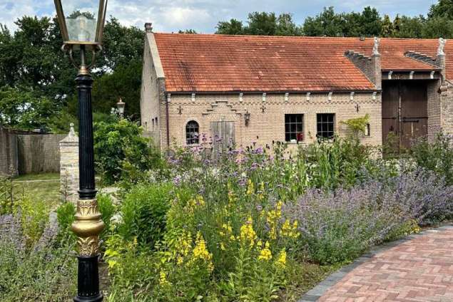 aanleggen tuin met zwemvijver, sierstraatwerk en wilde bloemen mengsel