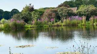 aanleggen tuin met zwemvijver, sierstraatwerk en wilde bloemen mengsel