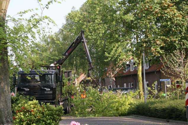 versnipperen van takken en afvoeren van dikhout