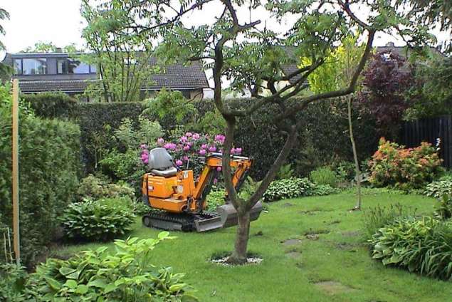 Mooie losse vormen in de tuin