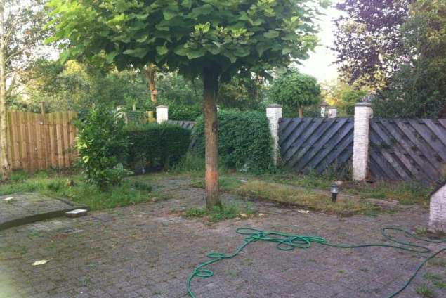 leeg ruimen van een tuin in haagse beemden breda rooien van bomen grasleggen leggen bestrating, tilburg reeshof maaspoort vught