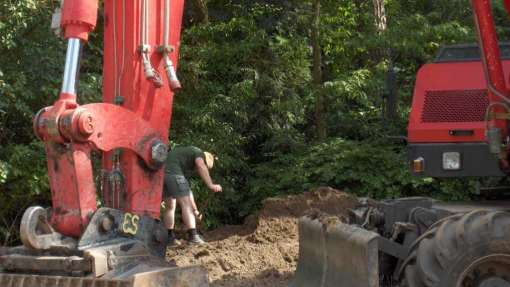 bomen rooien 