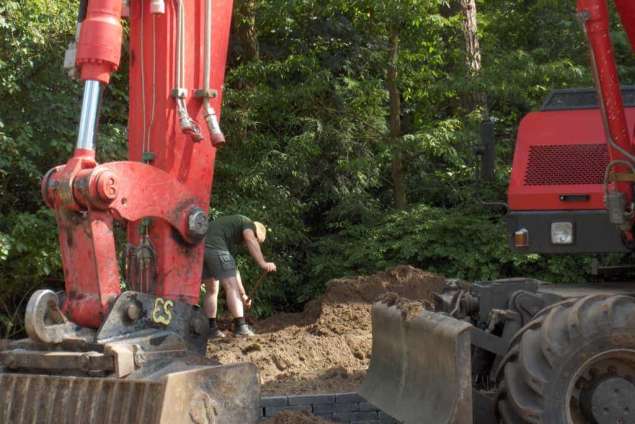 bomen rooien 