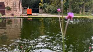 aanleggen tuin met zwemvijver, sierstraatwerk en wilde bloemen mengsel