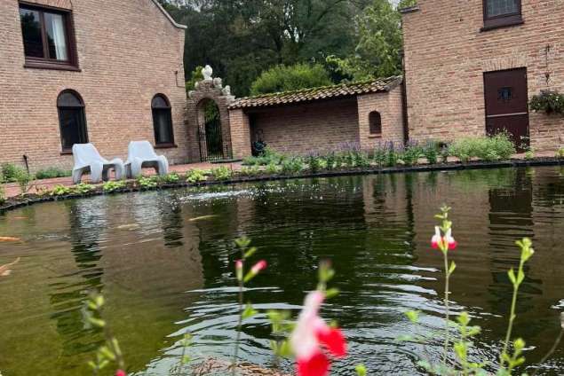 aanleggen tuin met zwemvijver, sierstraatwerk en wilde bloemen mengsel