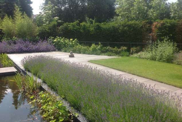 Vijver Aanleggen  Boxtel