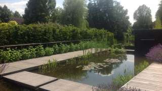 strak tuinontwerp met heldere lijnen in een design tuin in Tilburg strakke tuin bij villa in Tilburg  ontwerpen van tuin, welke planten zie je op de foto lavendel witte annebel liopere kattekruid gele bamboe waterlelie Udenhout Berkel Enschot Vught Waarle Veldhoven Ulvenhout Breda rooien struiken hagen beplanting