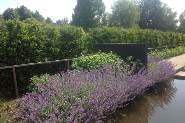 Vijver Aanleggen Den Bosch