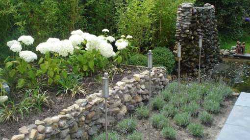 tuinborder met lavendel en witte hortensia, gele bamboe uit 40 liter pot hovenier tilburg udenhout brabant 