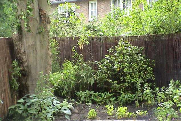 groene planten border het gehele jaar door aantrekkelijk door juiste plant keuze laat u beplantingplan maken. spelde hovenier udenhout breda waalijk tilburg den bosch eindhoven vught